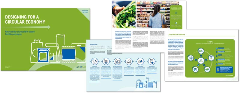 Screenshots of the Design for a Circular Economy guidelines