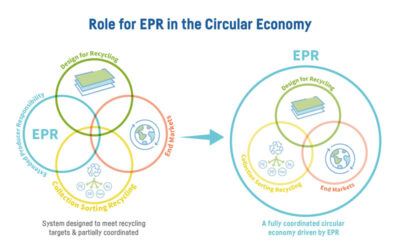 CEFLEX launches EPR ‘Criteria for Circularity’ in flexible packaging