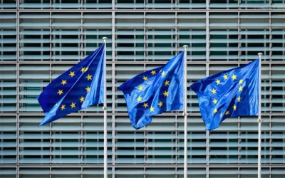 Navigating legislation implementation for flexible packaging: ‘Mission Circular’ or ‘Mission Impossible’?