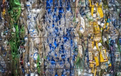 Making circularity the rational choice: why EPR legislation will decide the business case for flexible packaging